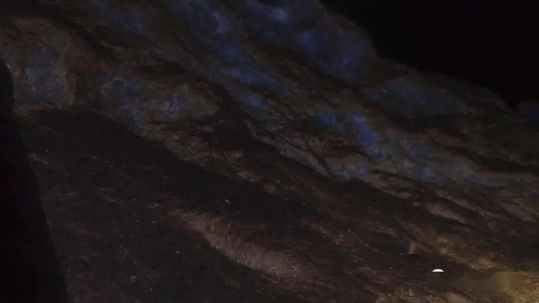 牛油果面包