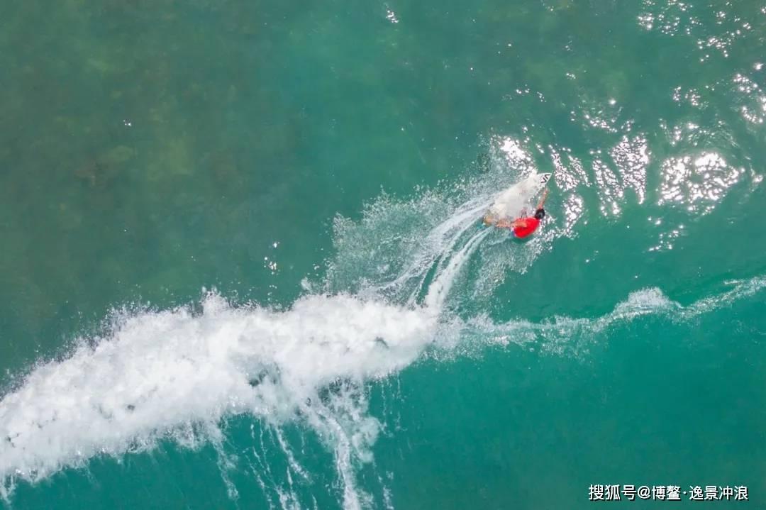 寻找萌小老虎