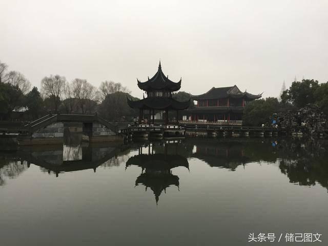 逗小猴开心系列173